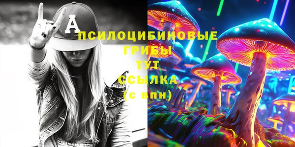 хмурый Алзамай