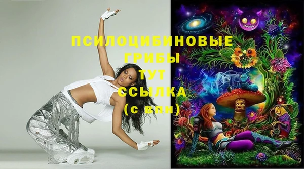 дмт Алексин