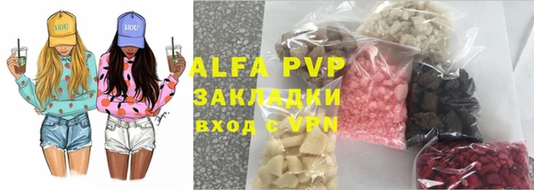 хмурый Алзамай