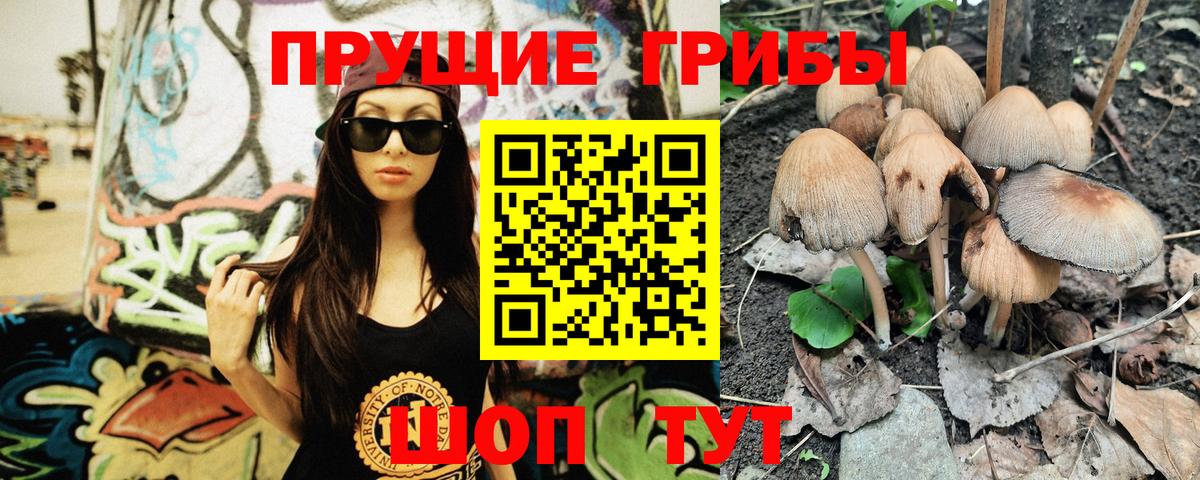 Псилоцибиновые грибы мицелий Лабинск