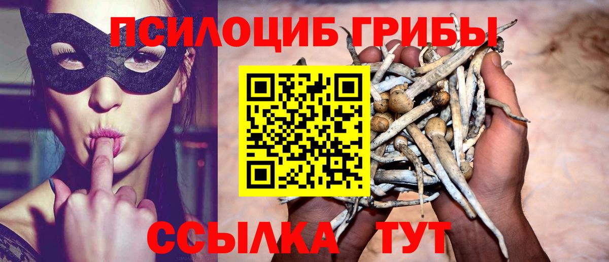 Псилоцибиновые грибы GOLDEN TEACHER  Вход с VPN  Лабинск 